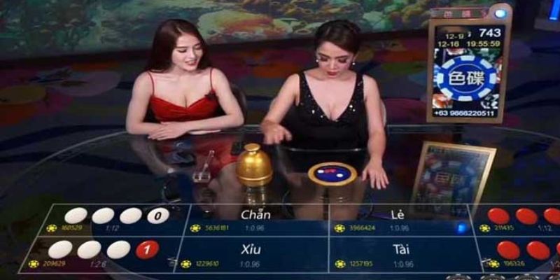 Quy luật chơi xóc đĩa cần biết