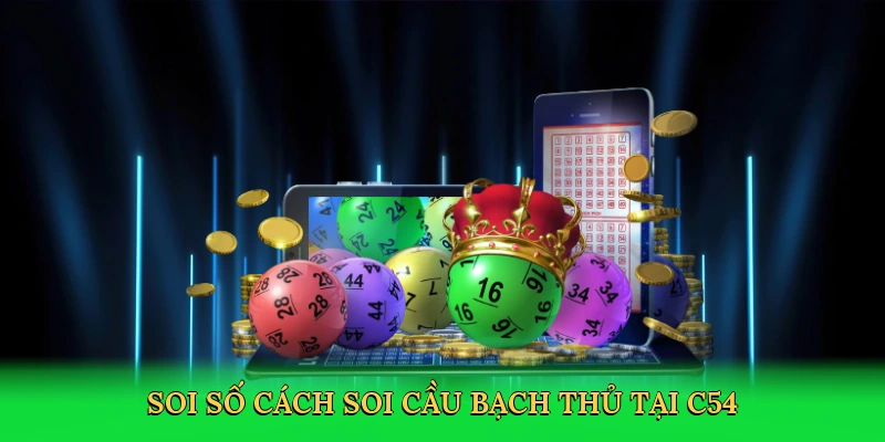 soi-so-cach-soi-cau-bach-thu-tai-c54-2
