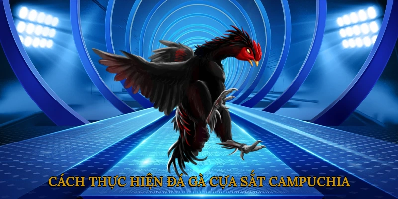 Cách thực hiện đá gà cựa sắt Campuchia