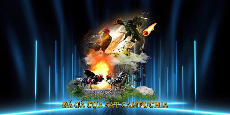 Đá gà cựa sắt Campuchia