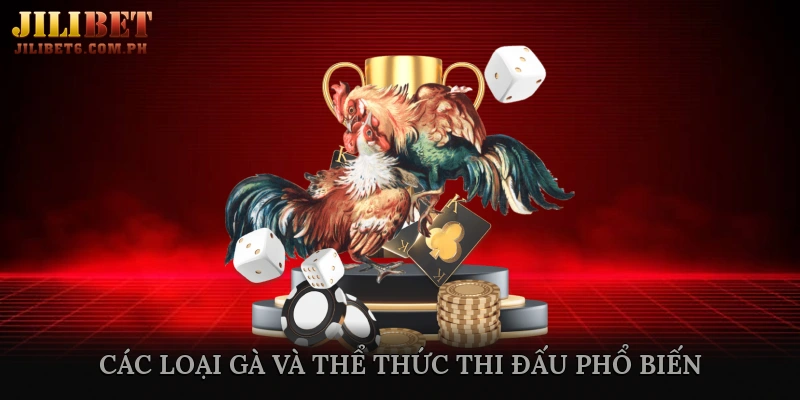 Các Loại Gà và Thể Thức Thi Đấu Phổ Biến