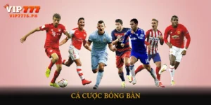 cá cược bóng bàn