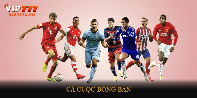 cá cược bóng bàn