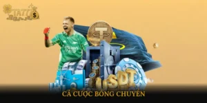 cá cược bóng chuyền