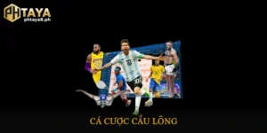 Cá cược cầu lông