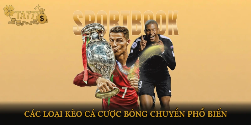 Các loại kèo cá cược bóng chuyền phổ biến