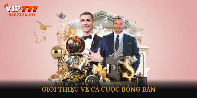 Giới thiệu về cá cược bóng bàn