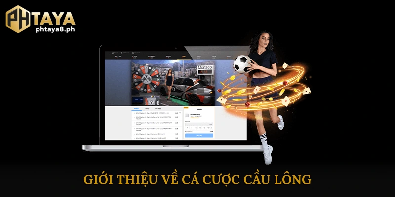 Giới thiệu về cá cược cầu lông