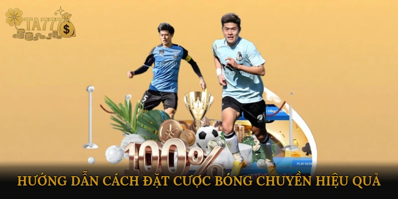 Hướng dẫn cách đặt cược bóng chuyền hiệu quả