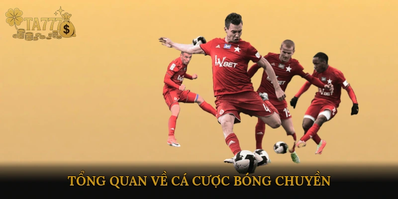 Tổng quan về cá cược bóng chuyền
