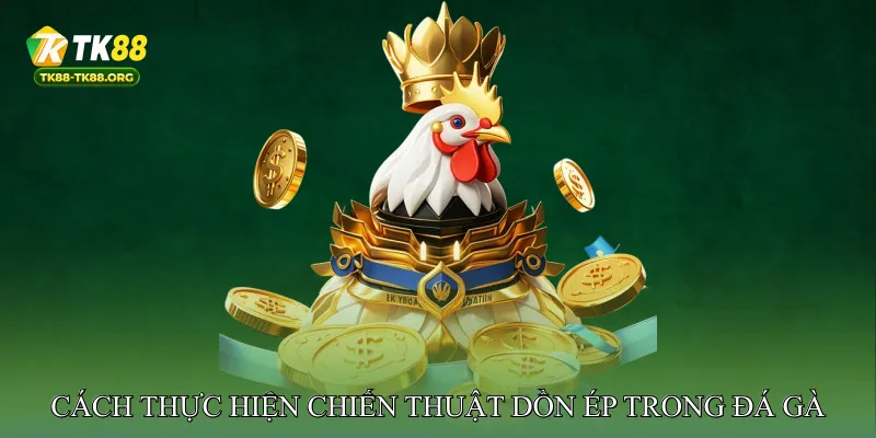 Cách Thực Hiện Chiến Thuật Dồn Ép trong Đá Gà