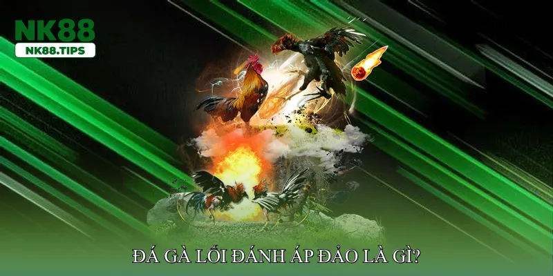 Đá gà lối đánh áp đảo là gì?