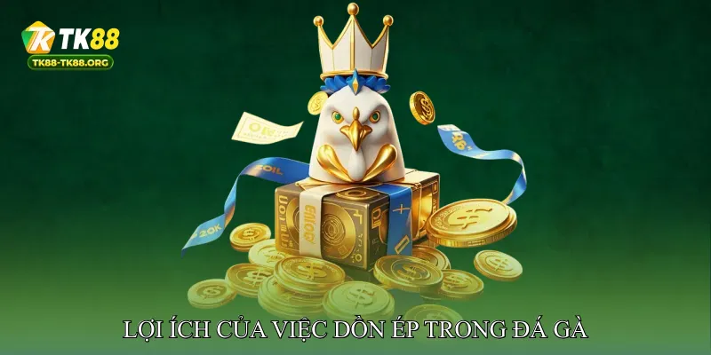 Lợi Ích của Việc Dồn Ép Trong Đá Gà