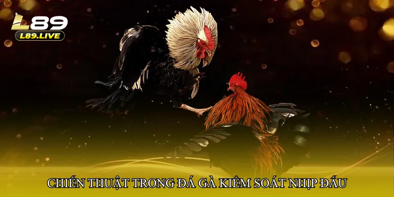 Chiến thuật trong Đá gà kiểm soát nhịp đấu