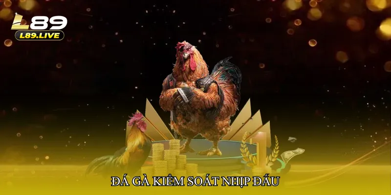 Đá gà kiểm soát nhịp đấu